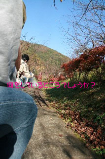 2008.12.05-012.jpg