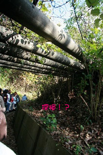 2008.12.05-018.jpg