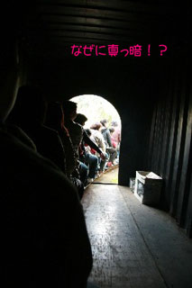 2008.12.05-020.jpg