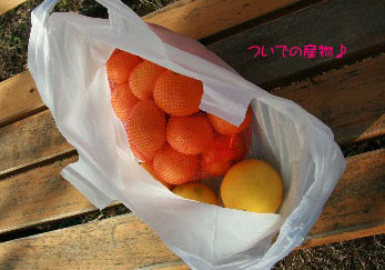 2008.12.05-029.jpg